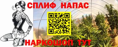 кокс Аргун
