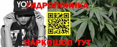 кокс Аргун