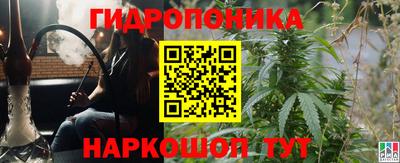 кокс Аргун