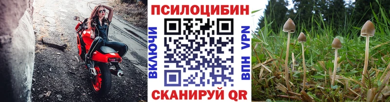 Псилоцибиновые грибы прущие грибы  Асино 