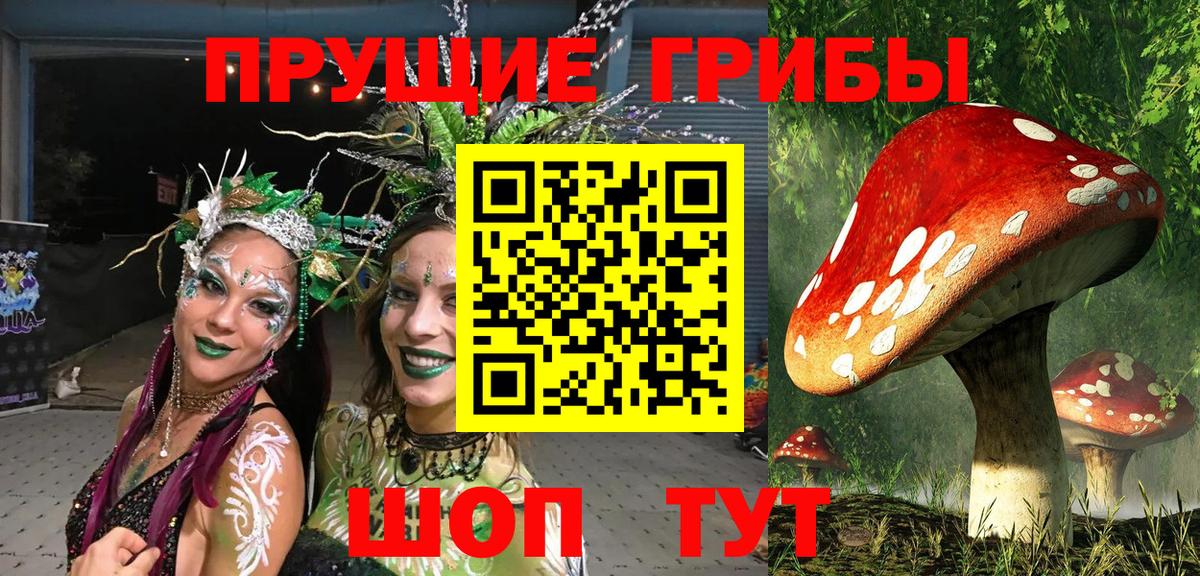 Галлюциногенные грибы Psilocybine cubensis  Вход с VPN  сколько стоит  Асино  Галлюциногенные грибы прущие грибы 
