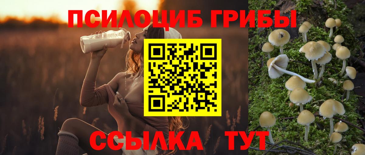 Галлюциногенные грибы ЛСД  Асино 